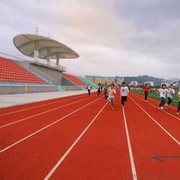拼裝運動地板供應與批發指南 產品、價格與選購渠道