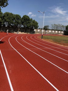 塑膠場(chǎng)地預(yù)制型跑道卷材 廠(chǎng)家報(bào)價(jià)與鞋透氣性能解析