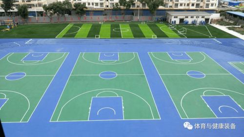 《學(xué)校運(yùn)動(dòng)場(chǎng)地合成材料面層推薦目錄(2020年版)》產(chǎn)品展播 塑膠場(chǎng)地預(yù)制型跑道卷材