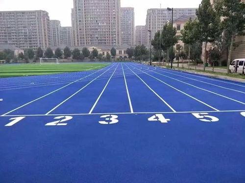 聊城高唐 預(yù)制型塑膠球場(chǎng)與跑道卷材的專(zhuān)業(yè)制造與應(yīng)用